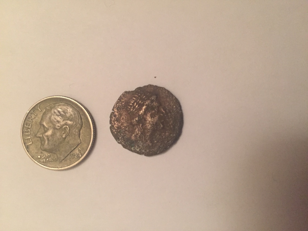 Can-Someone-ID-This-Little-Guy-For-Me?-I